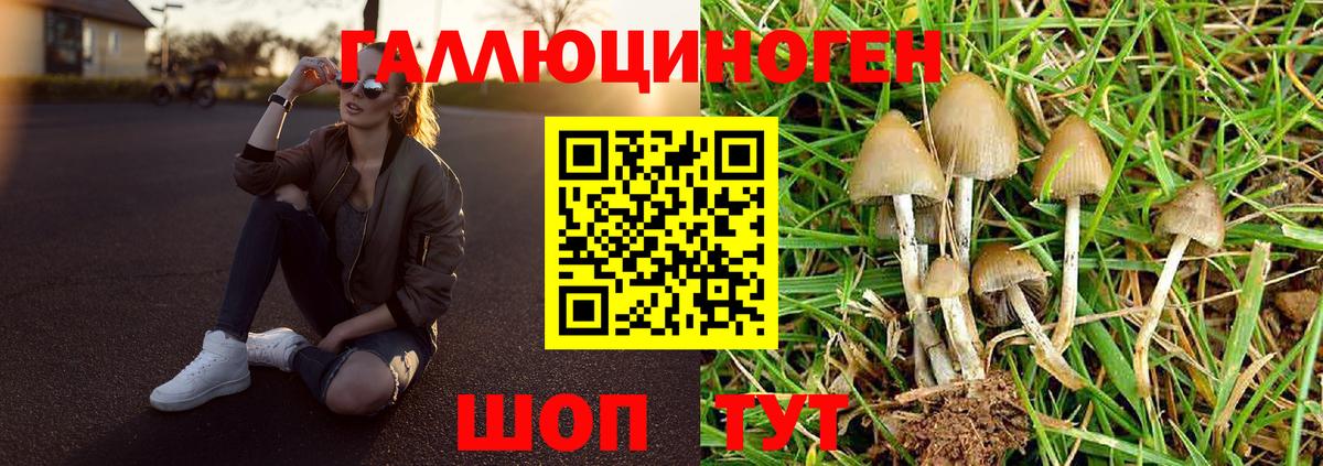 Псилоцибиновые грибы Psilocybine cubensis  Вход с VPN  Тавда  Галлюциногенные грибы MAGIC MUSHROOMS 