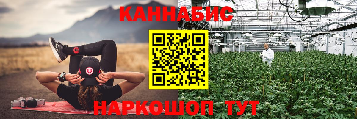 Тавда  Марихуана тримм  Вход с VPN  Шишки марихуана Bruce Banner 